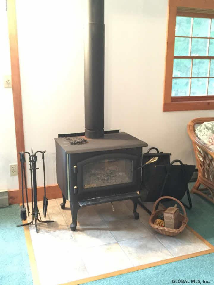 3 Cozy Cove Road Brant Lake, NY 12815 - Photo 4 of 24 Photo 4