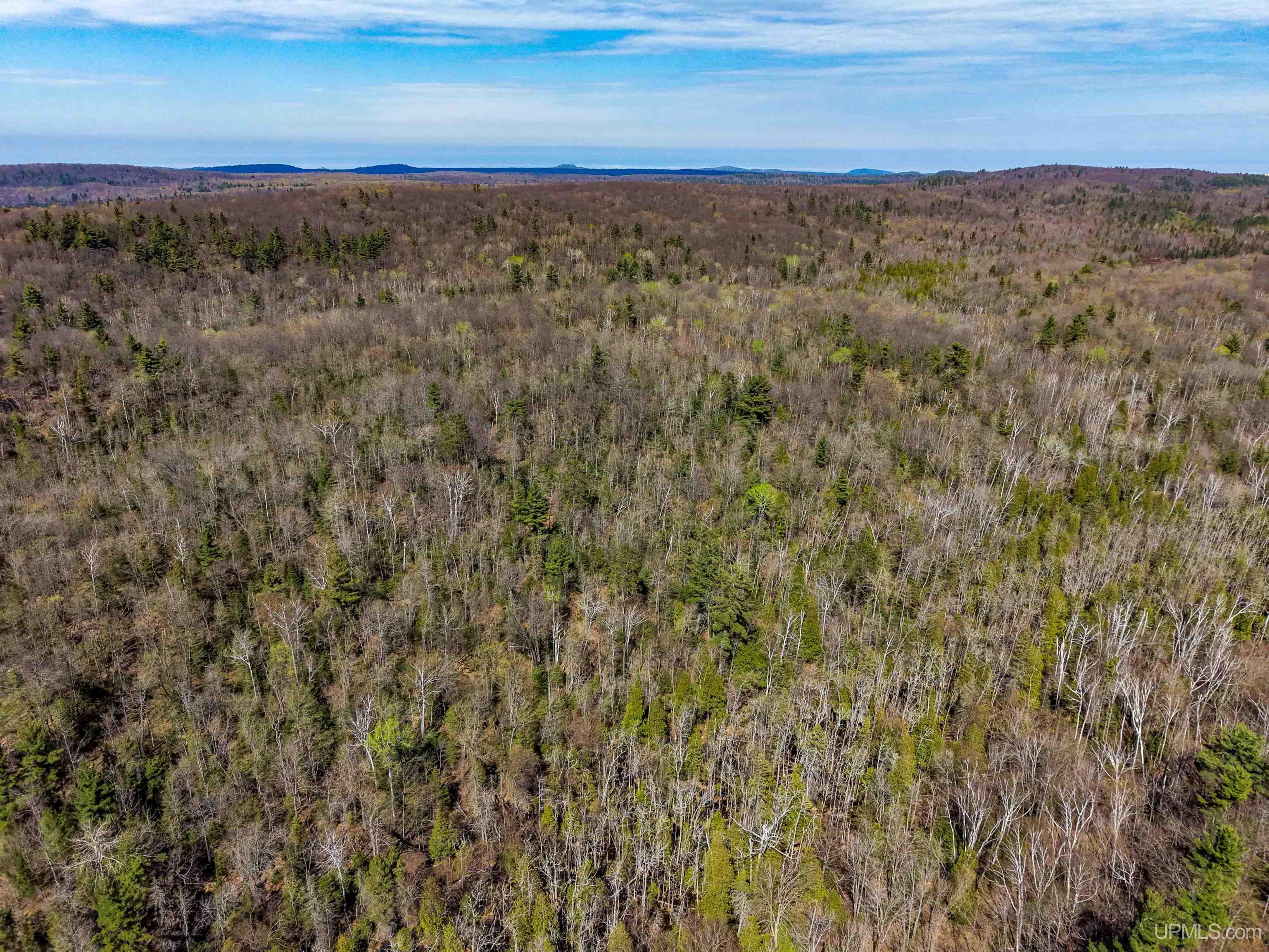 Tbd East Wilderness Road Negaunee, MI 49866 - Photo 11 of 12