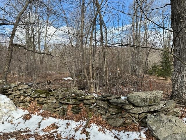 0 Smith Road Wilmington, VT 05363 - Photo 11 of 13