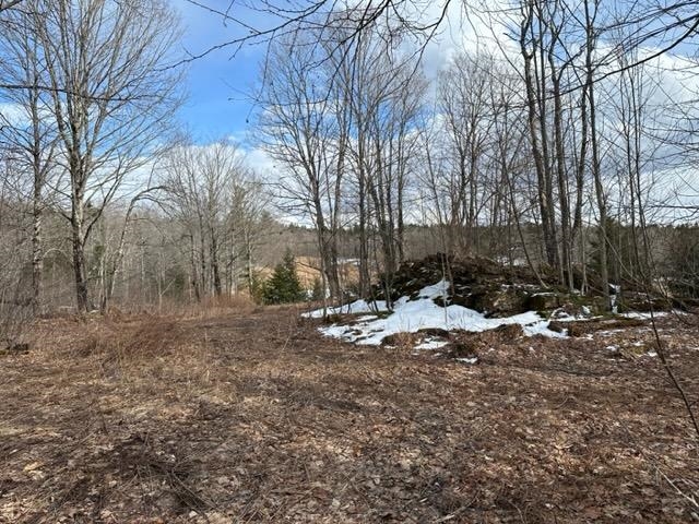 0 Smith Road Wilmington, VT 05363 - Photo 12 of 13