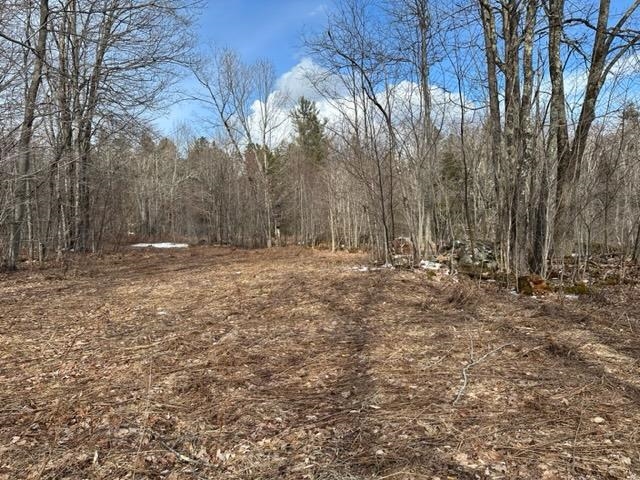 0 Smith Road Wilmington, VT 05363 - Photo 13 of 13
