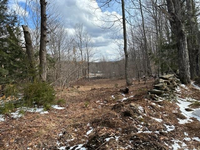 0 Smith Road Wilmington, VT 05363 - Photo 4 of 13
