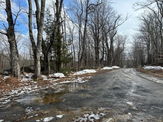 0 Smith Road Wilmington, VT 05363 - Photo 5 of 13