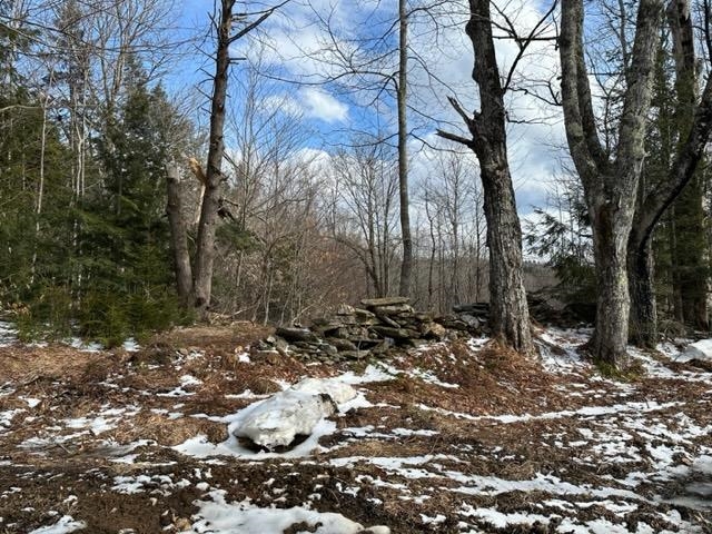0 Smith Road Wilmington, VT 05363 - Photo 6 of 13