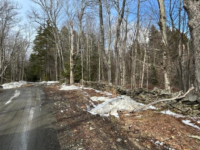0 Smith Road Wilmington, VT 05363 - Photo 8 of 13