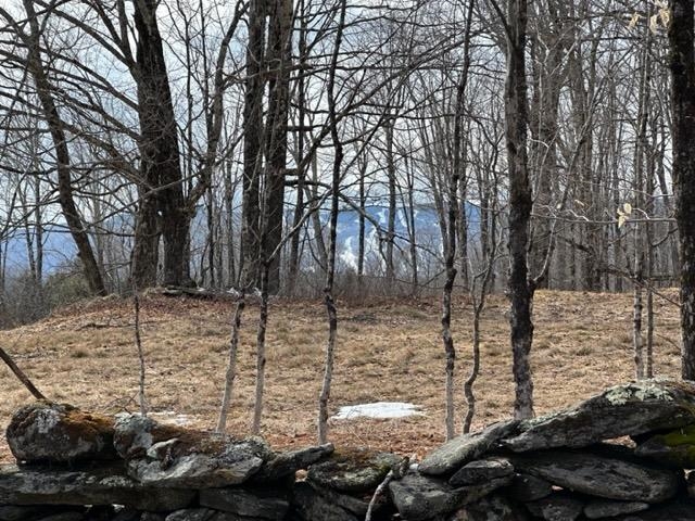 0 Smith Road Wilmington, VT 05363 - Photo 10 of 13
