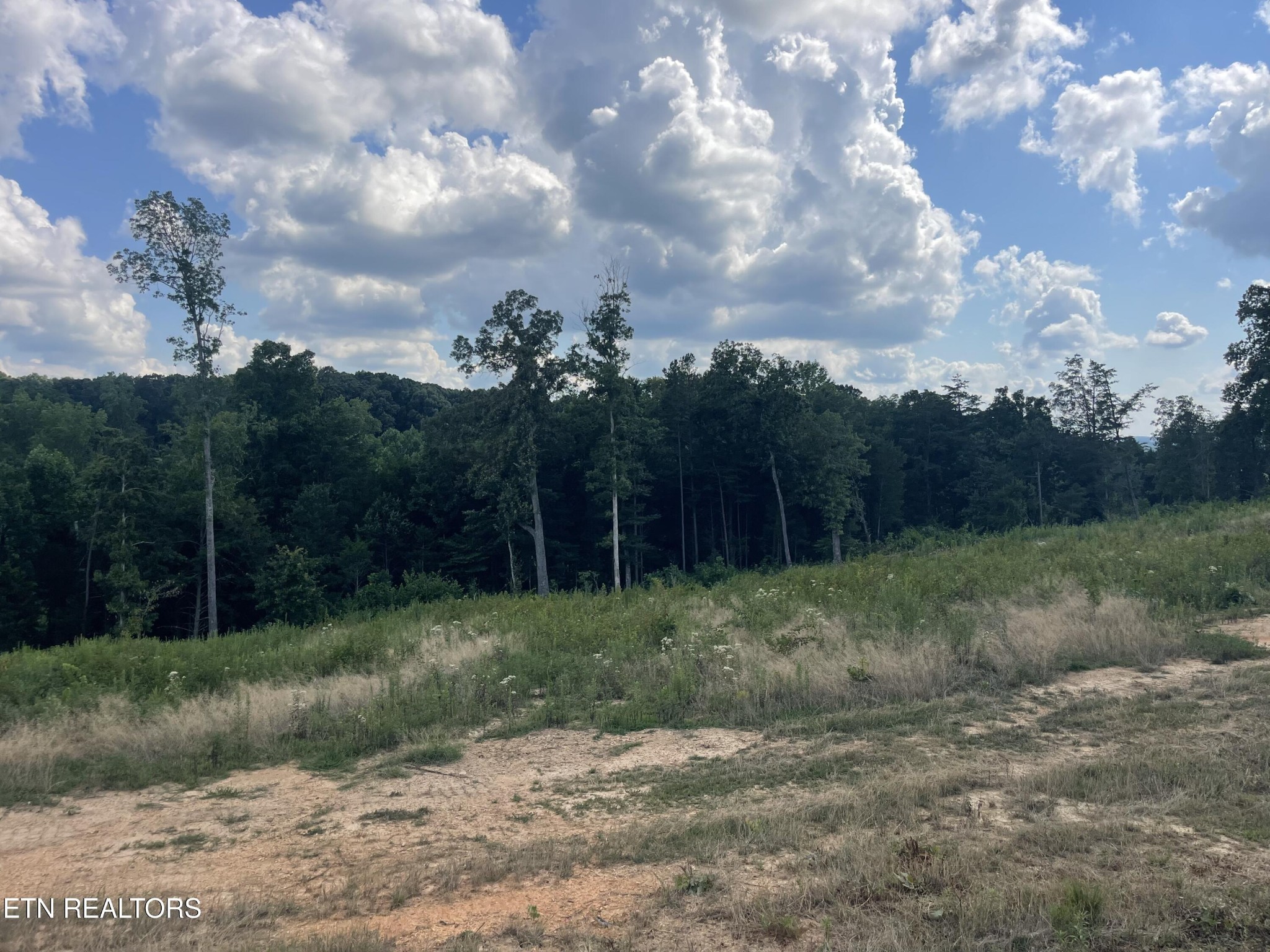 19 Laura Boling Loop Road Strawberry Plains, TN 37871 - Photo 2 of 2 Gallery Image 2