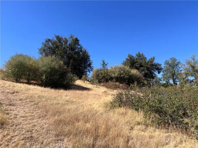 a view of a dry yard with a tree