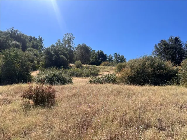 a view of a dry yard with trees