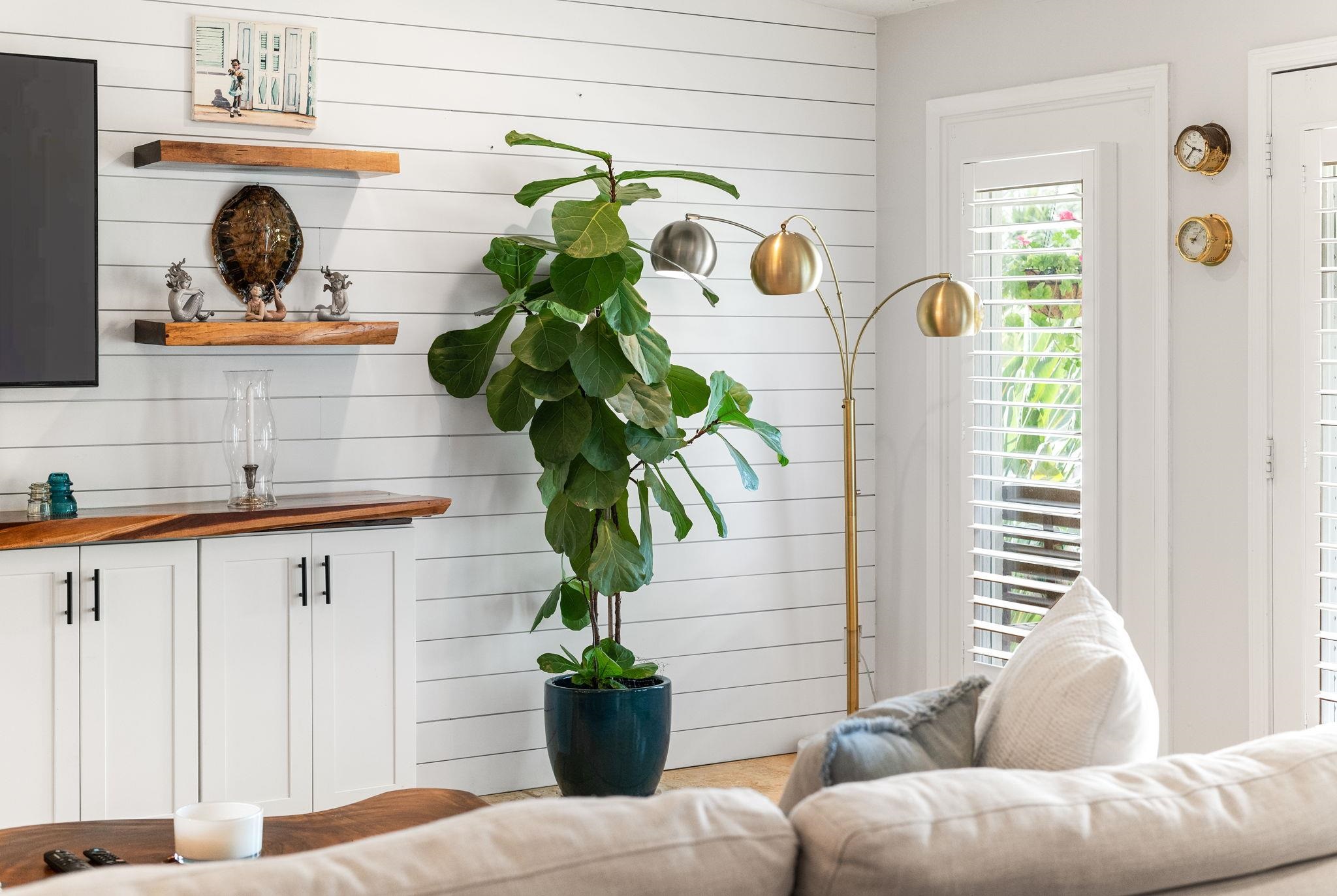305 Mystical Way St. Augustine, FL 32080 - Photo 19 of 96 a living room with furniture and a potted plant