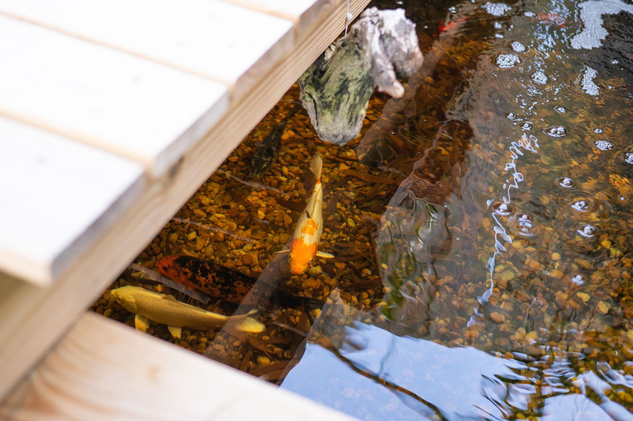 305 Mystical Way St. Augustine, FL 32080 - Photo 90 of 96