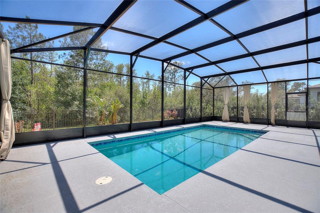 17244 Goldcrest Loop Clermont, FL 34714 - Photo 6 of 36
