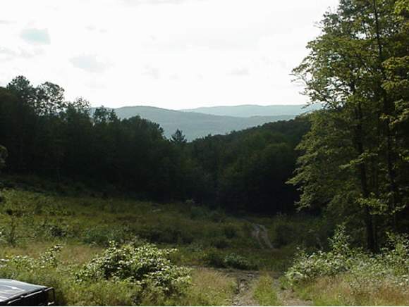 South Richardson Road Duxbury, VT 05660 - Photo 1 of 1 Gallery Image 1