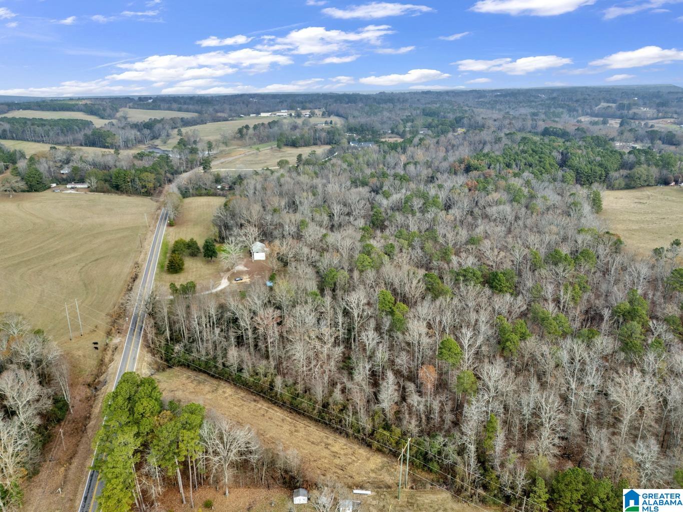 9157 Bagley Road Dora, AL 35062 - Photo 45 of 51 Gallery Image 45