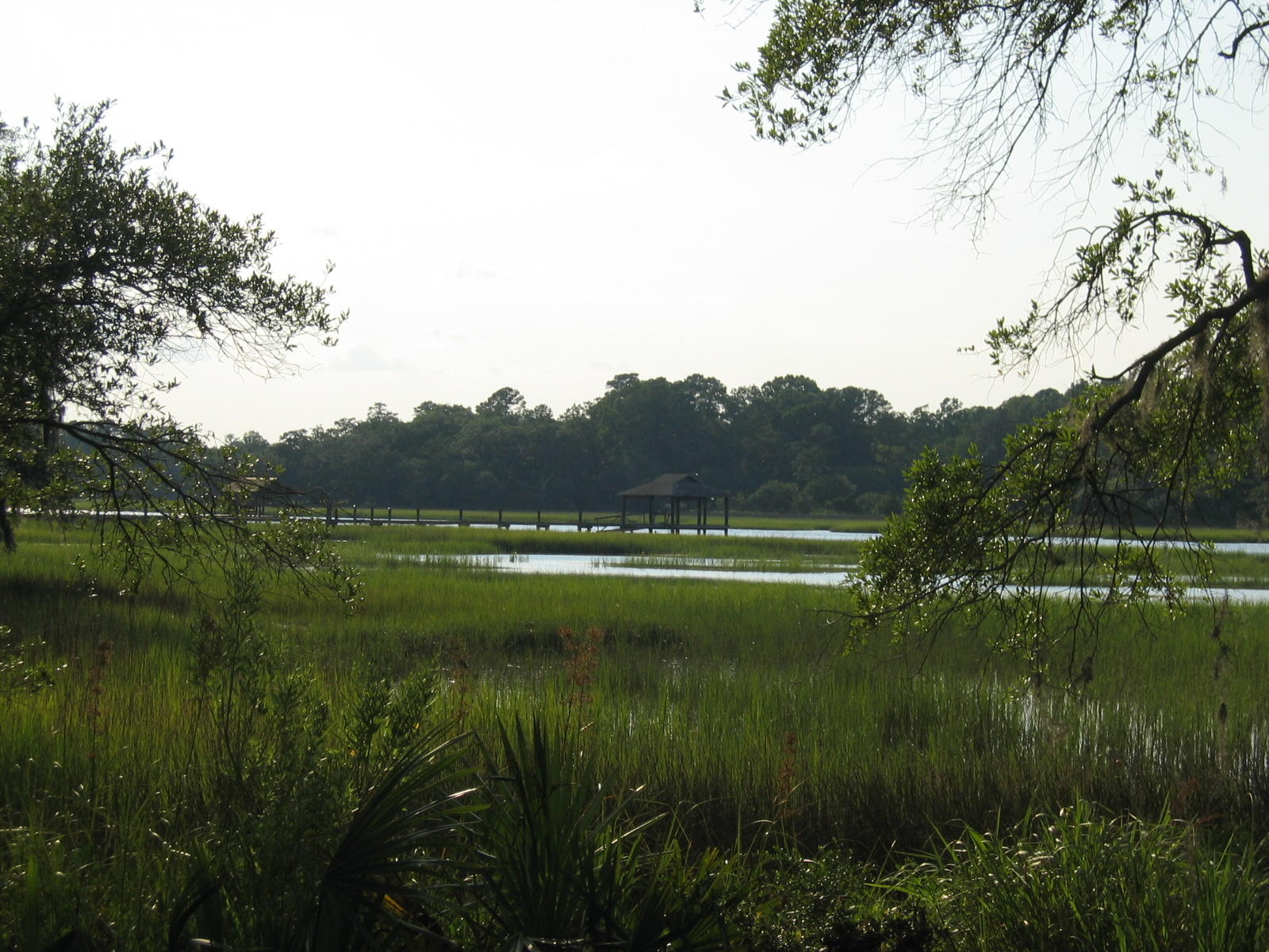 0 Lone Pine Road Meggett, SC 29449 - Photo 3 of 13 River View