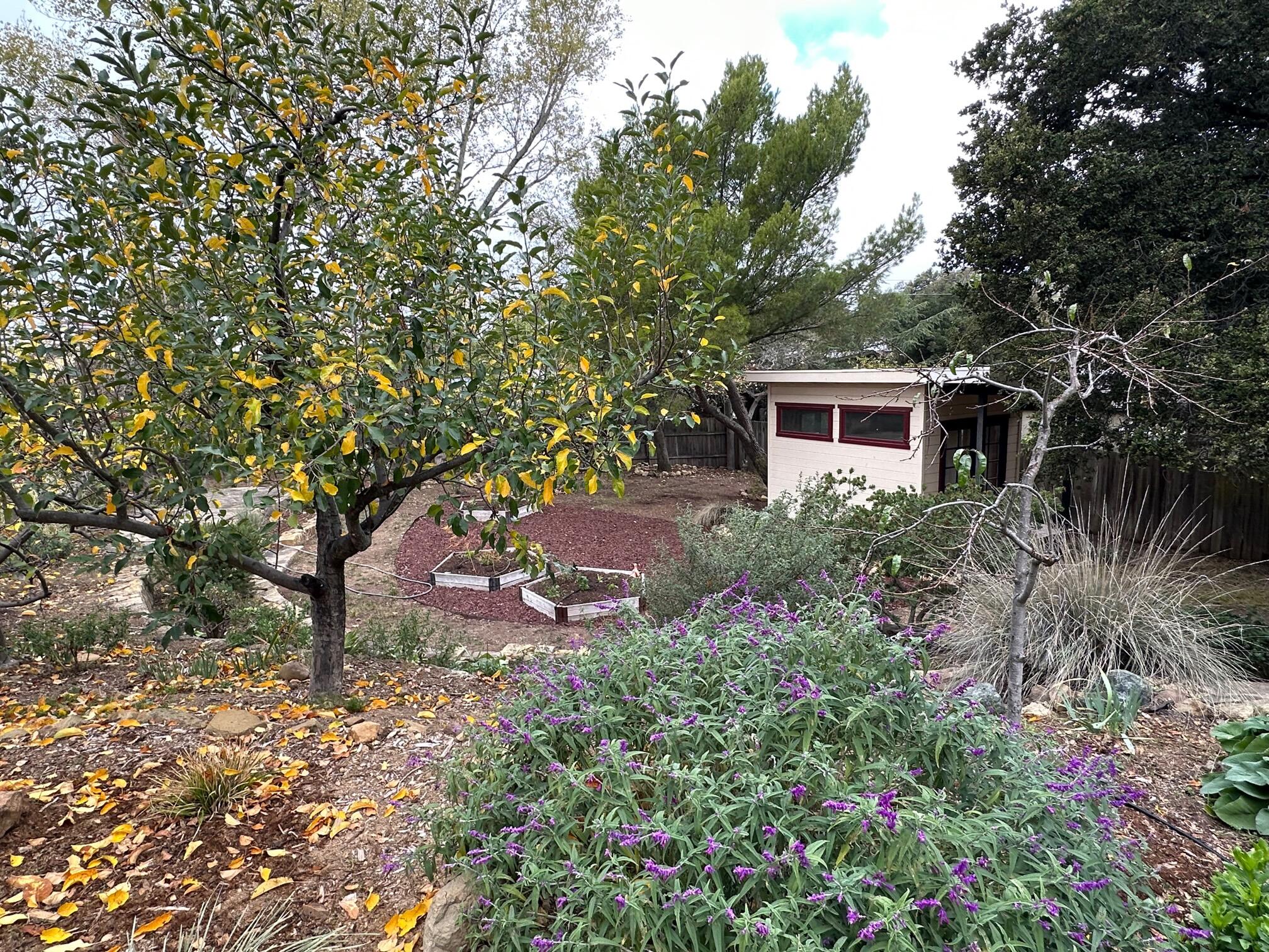 4858 Ogram Road Santa Barbara, CA 93105 - Photo 18 of 24 020-IMG_3409