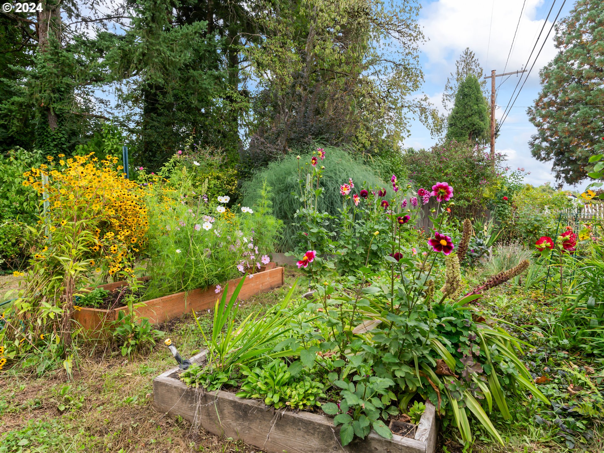 14191 South Livesay Road Oregon City, OR 97045 - Photo 41 of 41 Yard