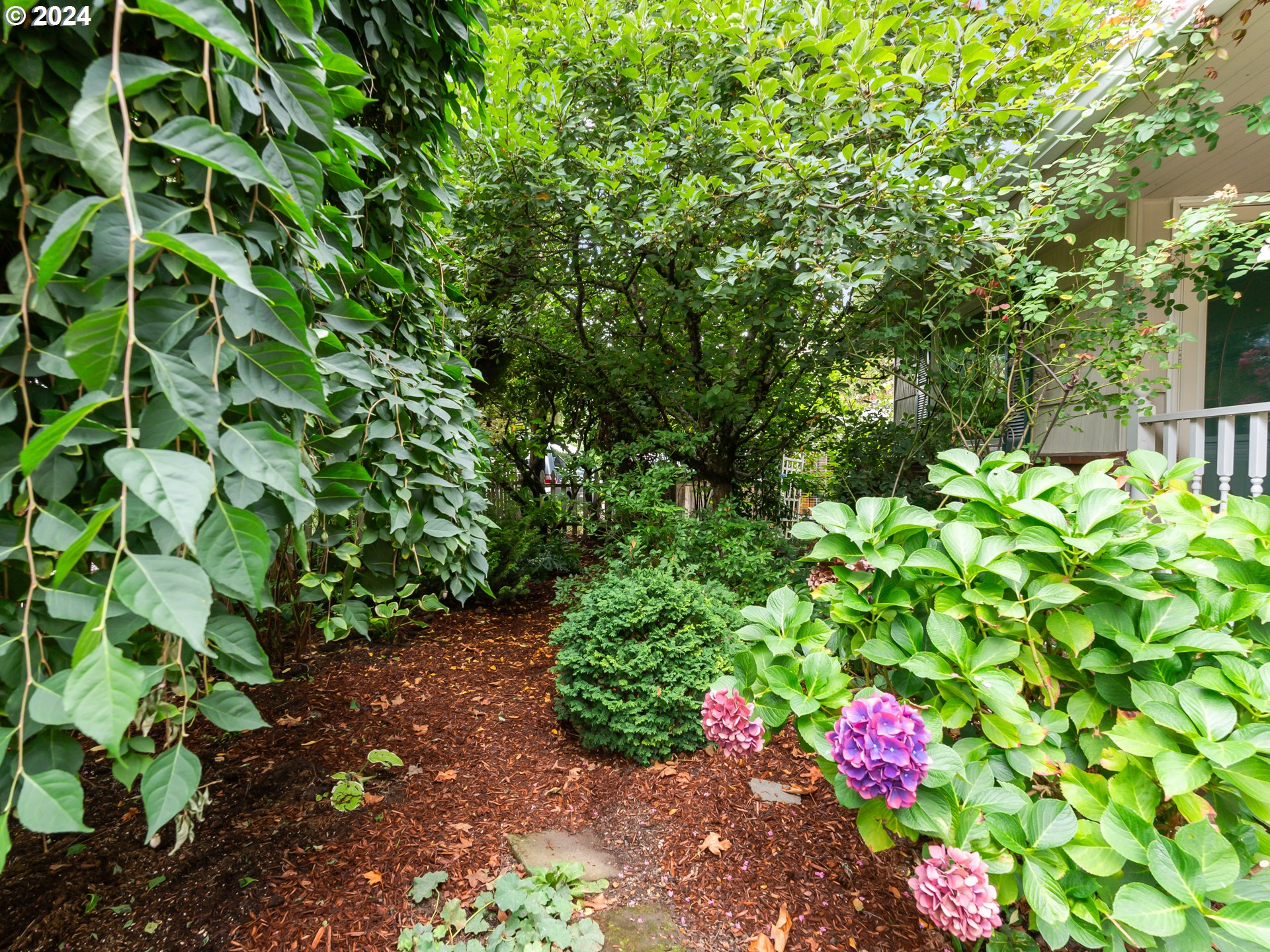 14191 South Livesay Road Oregon City, OR 97045 - Photo 5 of 41 Gallery Image 5