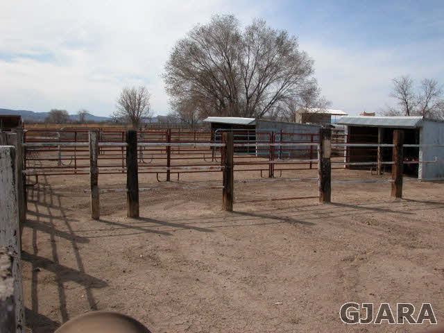 1007-19 19 1/2 Road Fruita, CO 81521 - Photo 28 of 38 Gallery Image 28