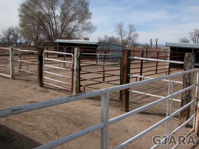 1007-19 19 1/2 Road Fruita, CO 81521 - Photo 29 of 38 Gallery Image 29