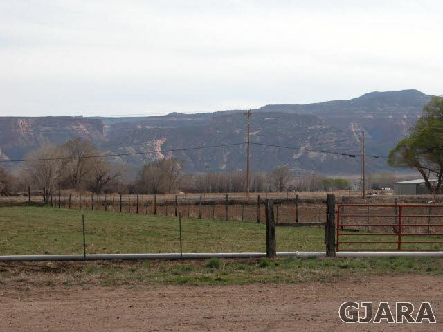 1007-19 19 1/2 Road Fruita, CO 81521 - Photo 34 of 38 Gallery Image 34