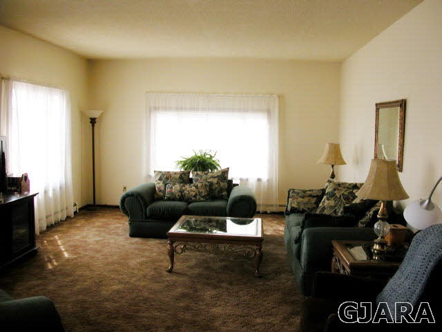 1007-19 19 1/2 Road Fruita, CO 81521 - Photo 8 of 38 Gallery Image 8