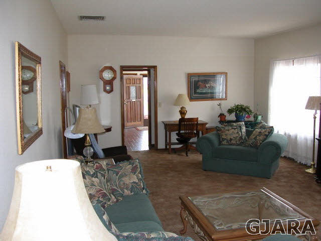 1007-19 19 1/2 Road Fruita, CO 81521 - Photo 10 of 38 Gallery Image 10