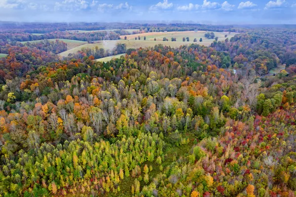 an aerial view of a houses with a lush green hillside