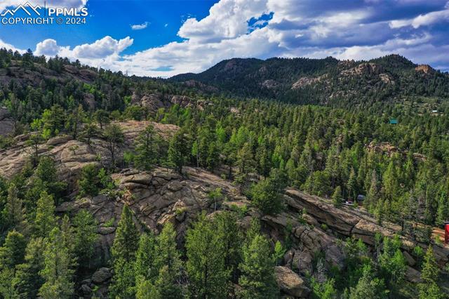 35 Cree Path Lake George, CO 80827 - Photo 39 of 46 View of mountain feature