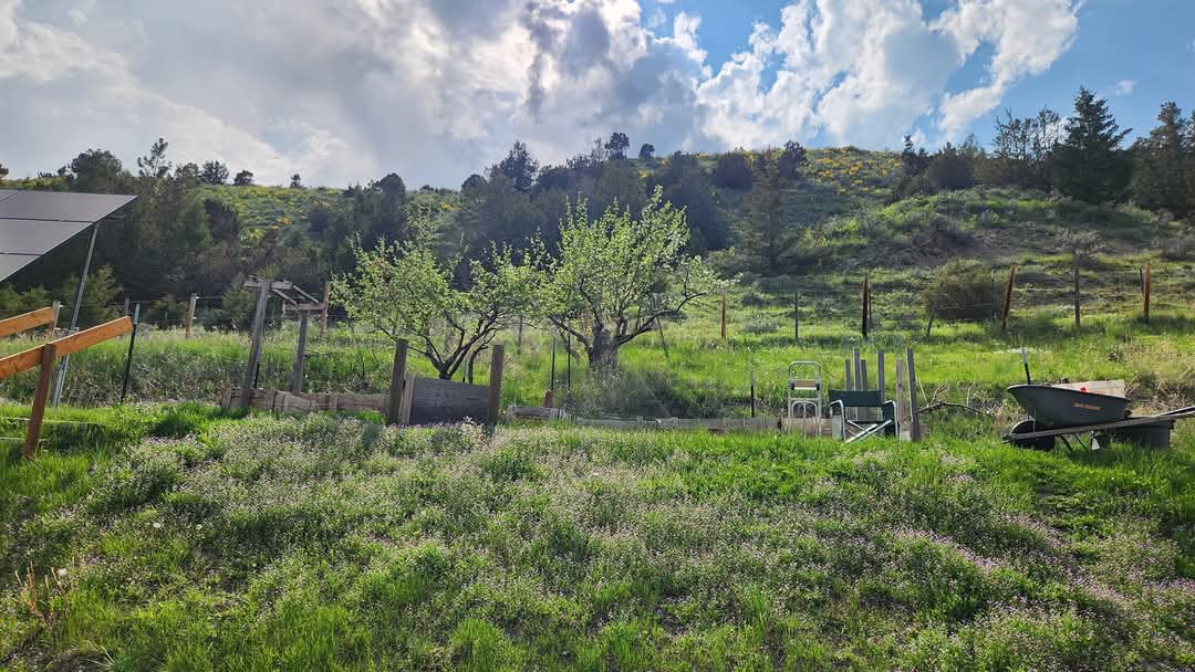 187 Edwards Gulch Road Drummond, MT 59832 - Photo 41 of 47 Gallery Image 41