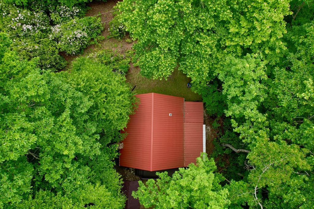 351 Mt Tabor Road Topton, NC 28781 - Photo 53 of 58