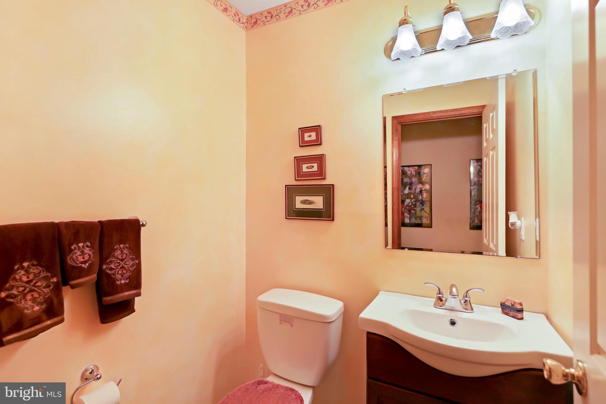 245 Atsion Road Medford, NJ 08055 - Photo 14 of 27 Powder room