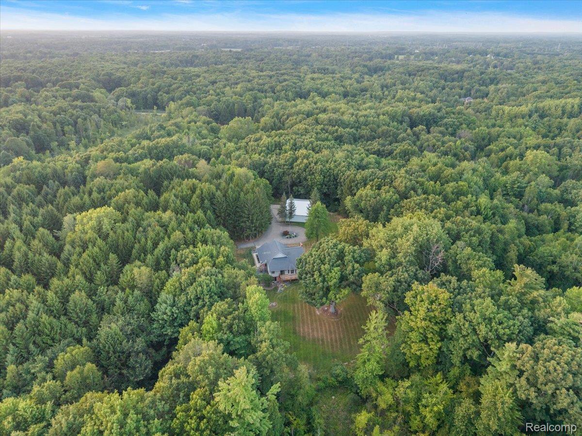 707 West Sutton Road Metamora, MI 48455 - Photo 18 of 84 Property situated within expansive tree coverage