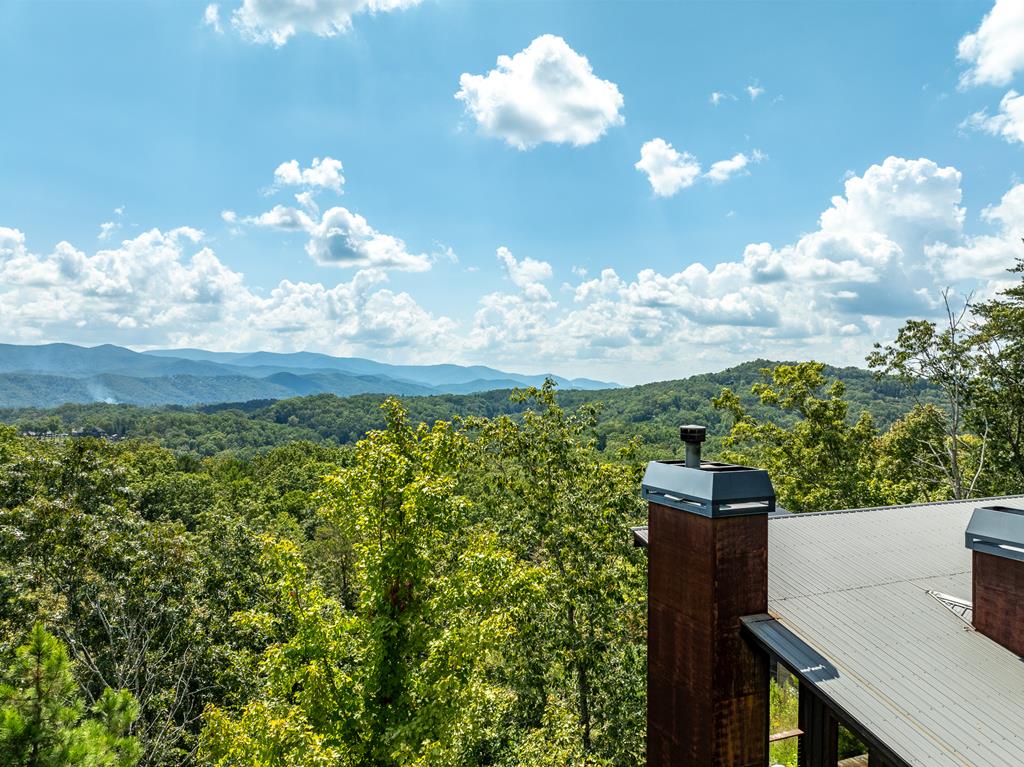 220 Firefly Road Blue Ridge, GA 30513 - Photo 23 of 74 Gallery Image 23