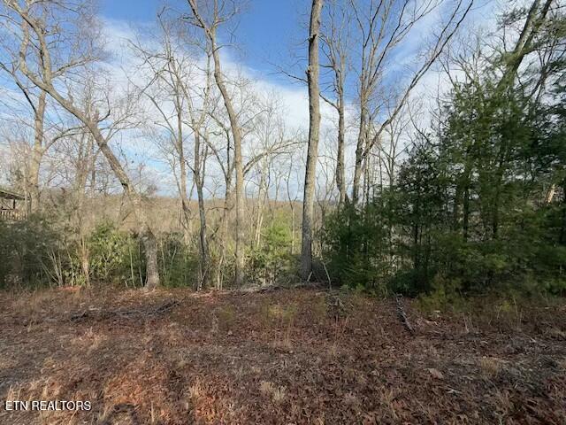 Lot 974 Ridgefield Drive Sevierville, TN 37876 - Photo 1 of 16 tempImageaiPHqE