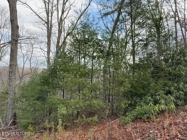 Lot 974 Ridgefield Drive Sevierville, TN 37876 - Photo 12 of 16 tempImagesiMLpT