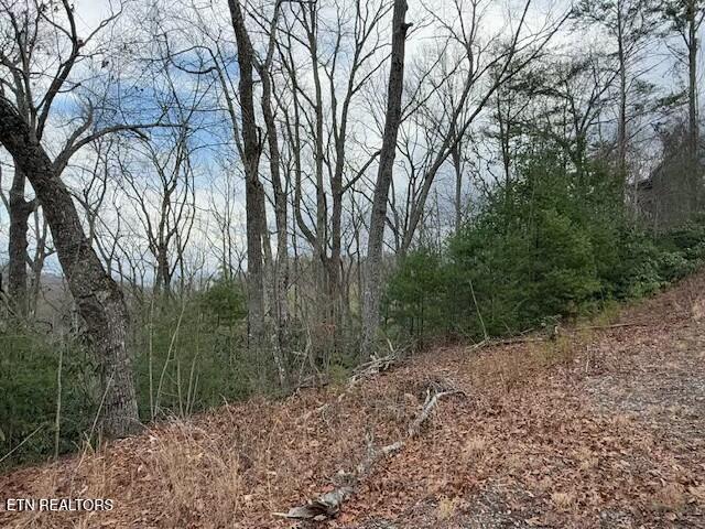 Lot 974 Ridgefield Drive Sevierville, TN 37876 - Photo 16 of 16 tempImage5qWE1D