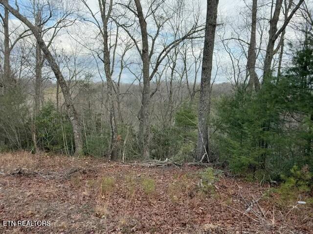 Lot 974 Ridgefield Drive Sevierville, TN 37876 - Photo 2 of 16 tempImagerKuhUT