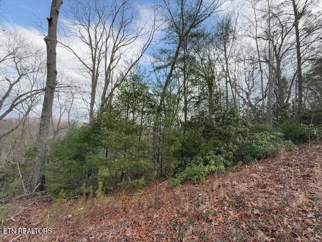Lot 974 Ridgefield Drive Sevierville, TN 37876 - Photo 3 of 16 tempImage73PbmZ