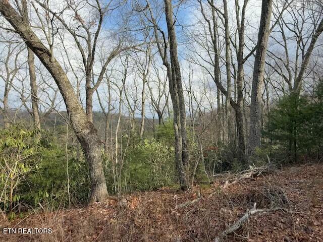 Lot 974 Ridgefield Drive Sevierville, TN 37876 - Photo 4 of 16 tempImageDDuiAl