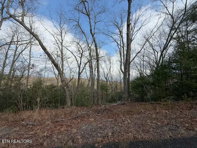 Lot 974 Ridgefield Drive Sevierville, TN 37876 - Photo 5 of 16 tempImageoqEBoL