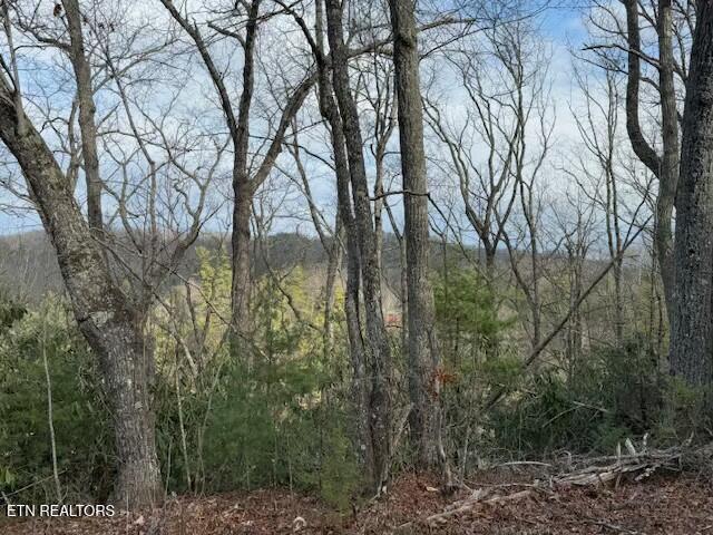Lot 974 Ridgefield Drive Sevierville, TN 37876 - Photo 10 of 16 tempImagejpWHzU