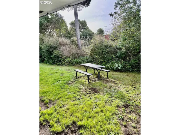 a view of a yard with a bench and plants