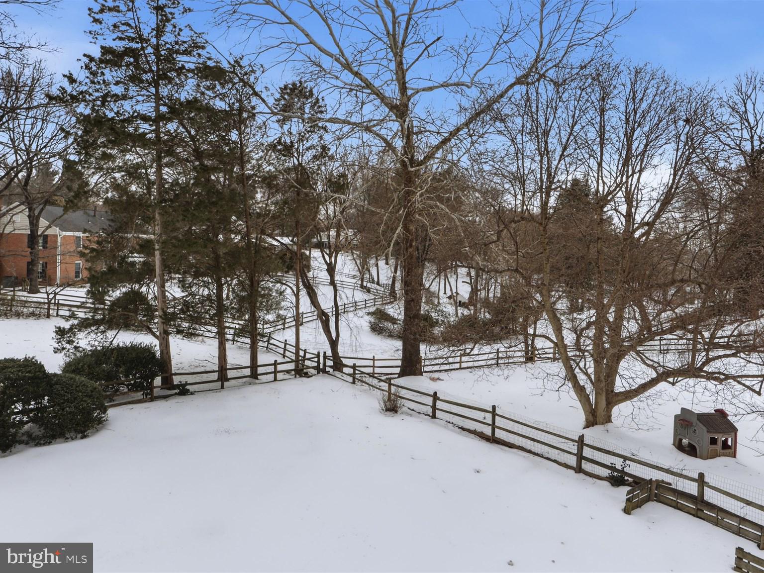 8818 Cold Spring Road Potomac, MD 20854 - Photo 47 of 60 Yard