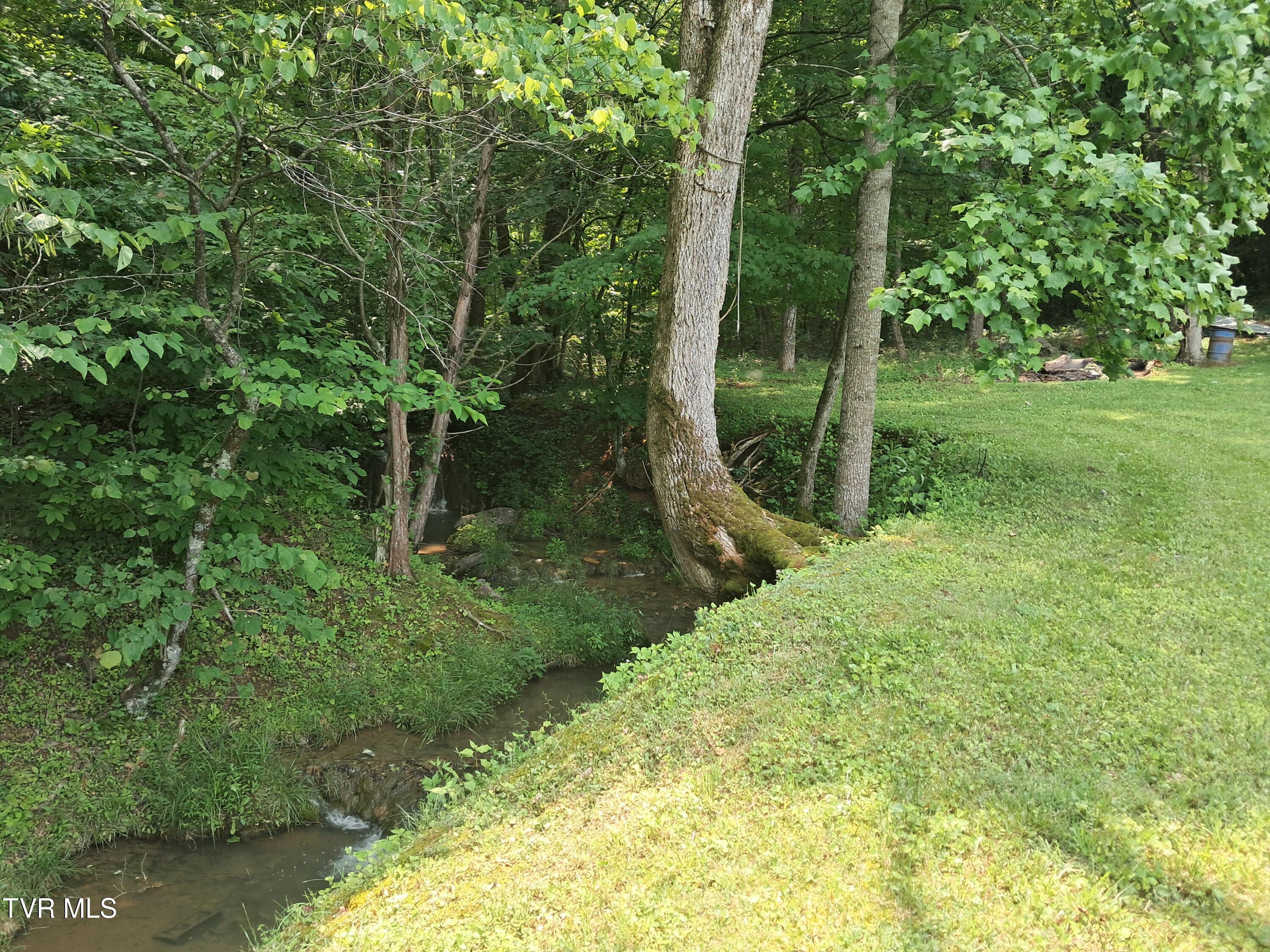 860 Bales Road Mosheim, TN 37818 - Photo 16 of 54 20250531_120715