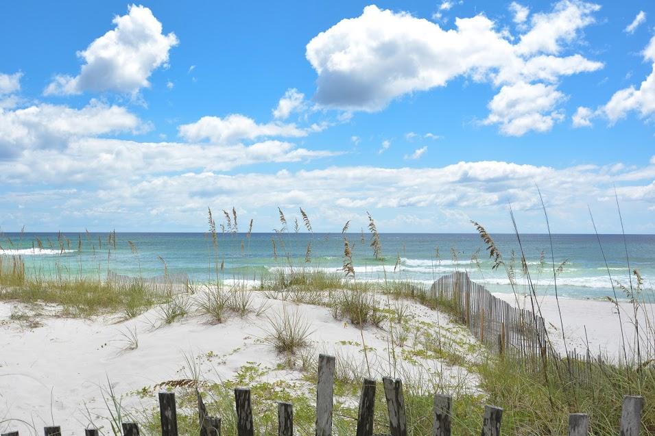 Lot 2 Tidewater Ct Inlet Beach Inlet Beach, FL 32461 - Photo 6 of 11 inlet 6