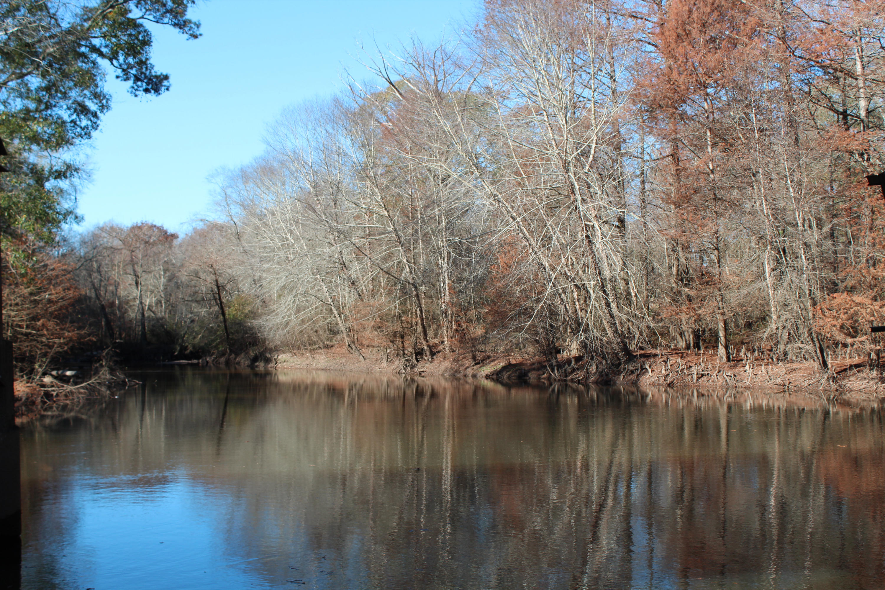 153n Other Al Samson, AL 36477 - Photo 1 of 20 2014-12-07 11