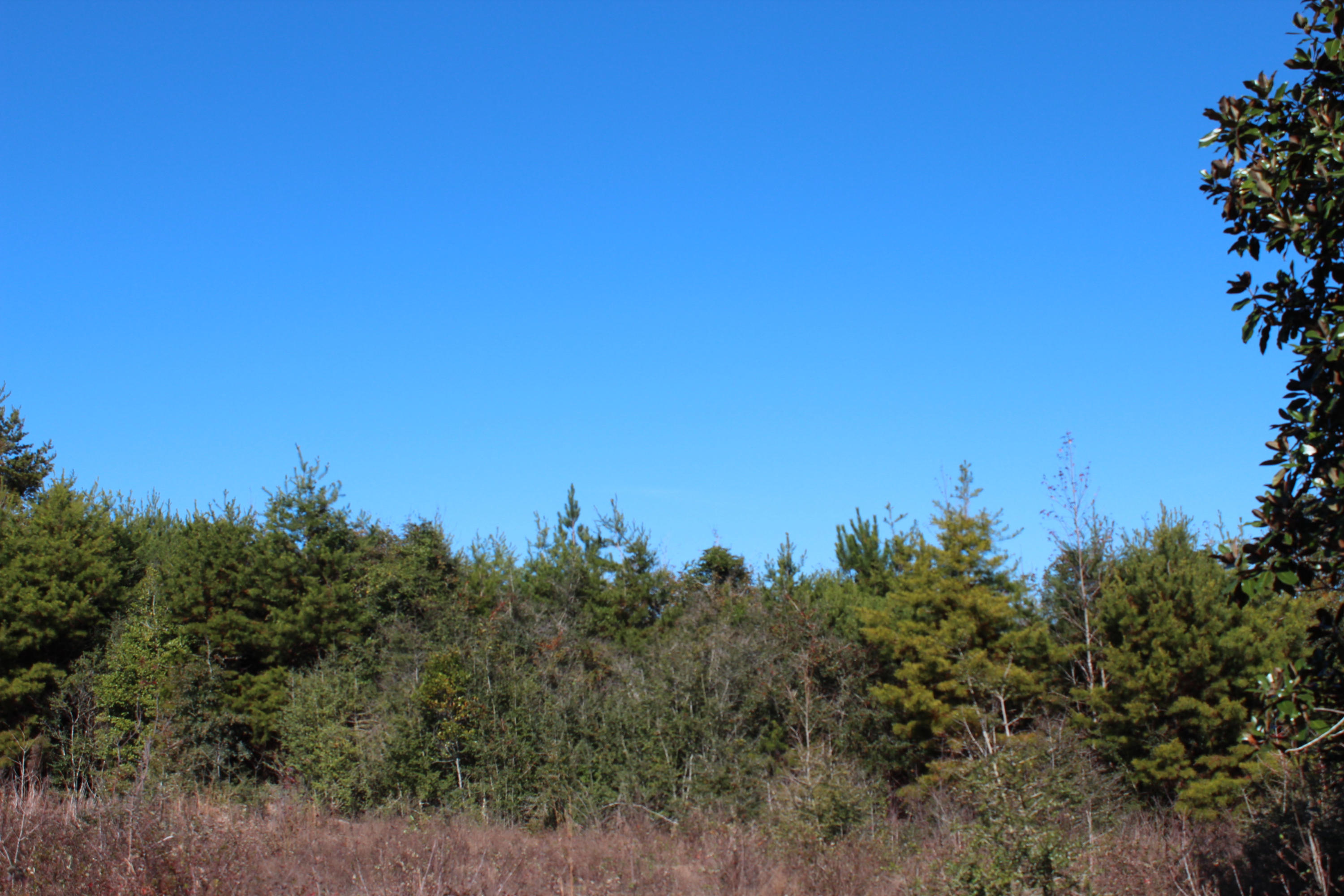 153n Other Al Samson, AL 36477 - Photo 11 of 20 2014-12-07 12