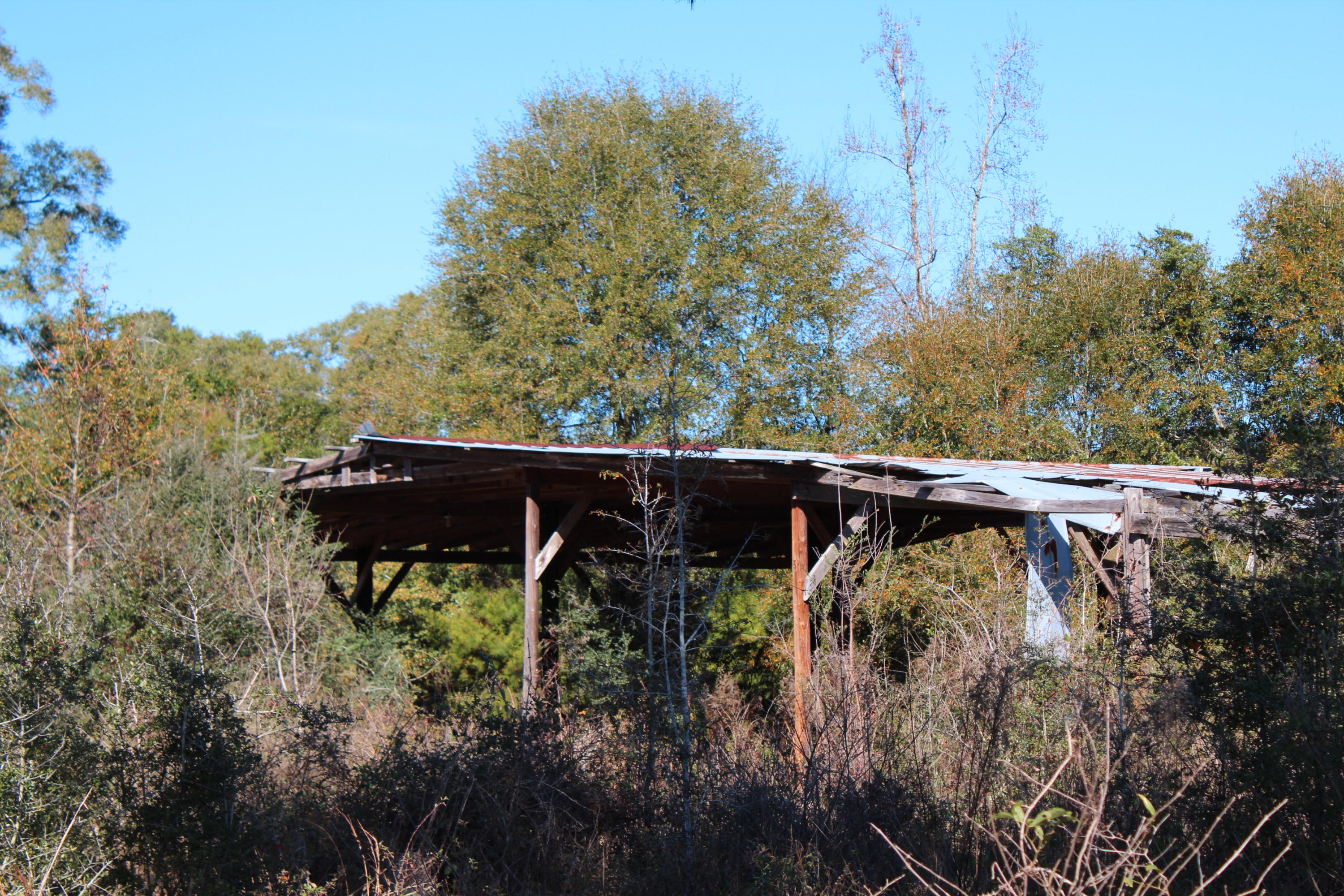 153n Other Al Samson, AL 36477 - Photo 12 of 20 2014-12-07 12