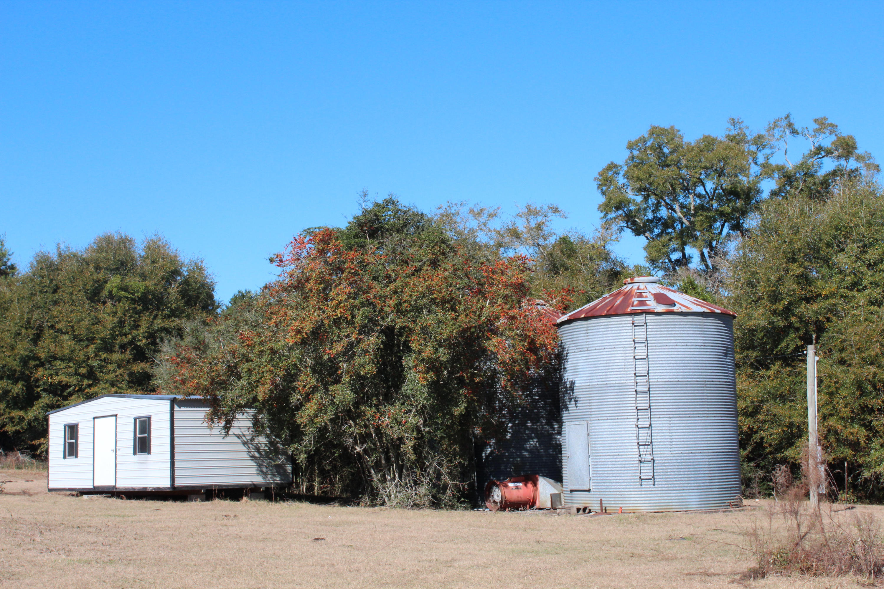 153n Other Al Samson, AL 36477 - Photo 13 of 20 2014-12-07 12